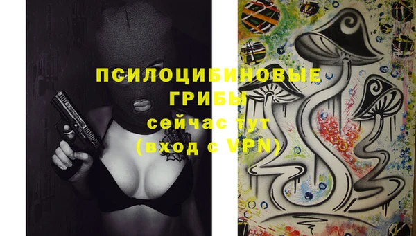2c-b Зерноград