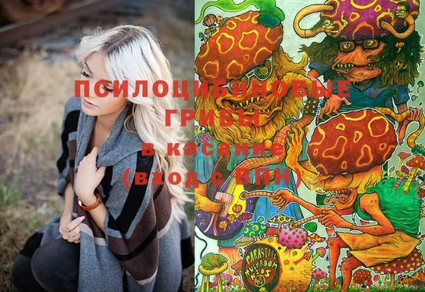 mdma Инсар