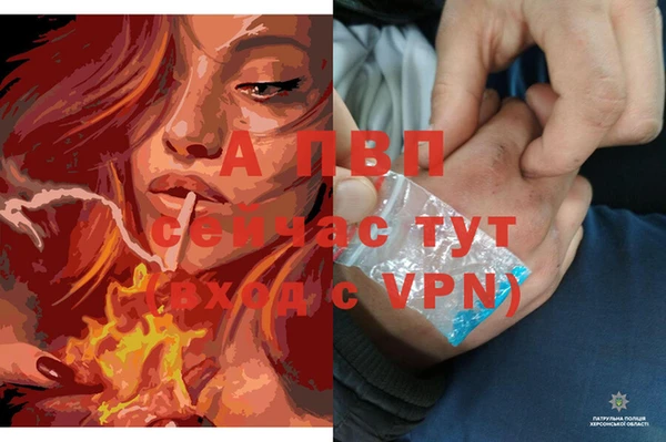 эйфоретик Инта