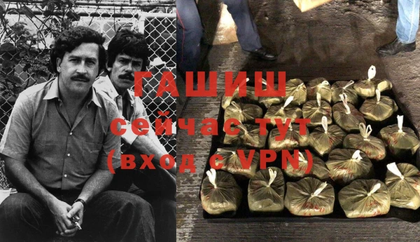 эйфоретик Инта