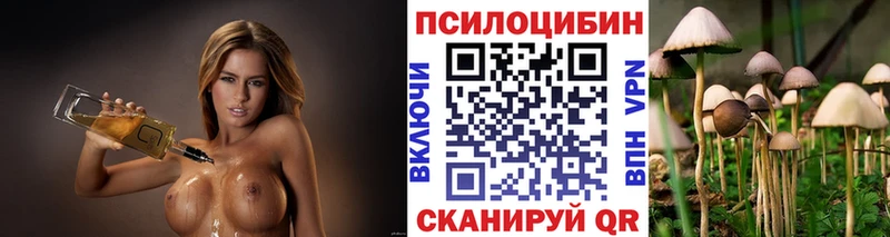 Купить  Юрюзань  Галлюциногенные грибы ЛСД 